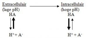 nsaids-figuur2-werking-extracellulair-intracellulair