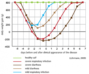 figuur-1-groei-gezonde-kalveren-vs-luchtaandoeningen-vs-diarree