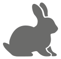 rabbit